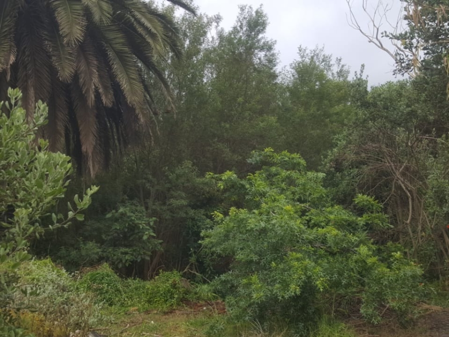 0 Bedroom Property for Sale in Knysna Heights Western Cape